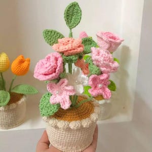 Söt rosenullsblomkruka, söt solrosullsblomkruka, som present till vänner, dekorera hörnet av studiebordet, arbetsbordet