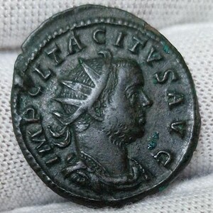 Puede incluir: Una moneda romana de bronce que presenta un perfil de una persona con una corona de laurel. La moneda tiene inscripciones visibles y está ligeramente desgastada, con una pátina oscura. La moneda se sostiene sobre un fondo de tela blanca.