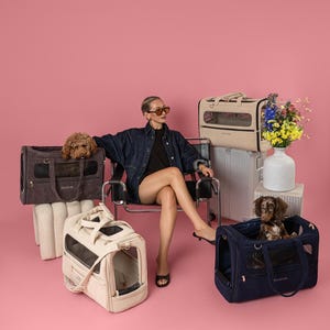 May include: A collection of four rectangular pet carriers in charcoal, cream, beige, and navy blue, each featuring mesh windows, top handles, and gold-toned zippers. Two small dogs are positioned inside the charcoal and navy blue carriers.