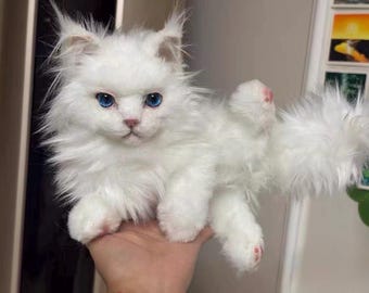 Realistic White Cat - Lifelike Maine Coon Art Doll - Weighted Poseable White Kitten (Pre-Order)