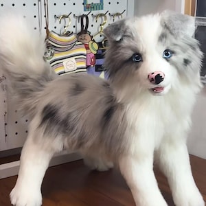 Replica di animale domestico appesantito dalla tua foto: corpo snodabile con bocca aperta 25-60 cm