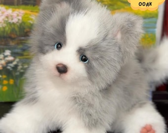 Custom Weighted Realistic Puppy Art Doll: Poseable Lifelike Dog, OOAK Companion