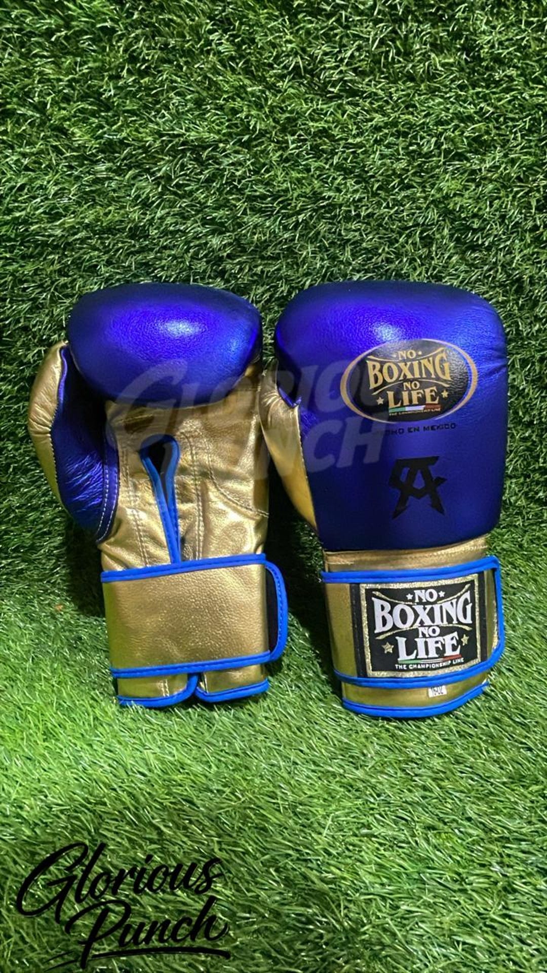 NBNL Leather Boxing Gloves | Blue & Gold Sparring Training, 8oz