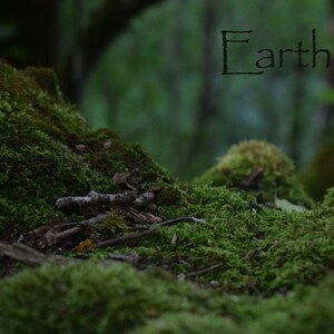以下が含まれることがあります： スタイリッシュなフォントで「Earth」という文字が書かれた、苔で覆われた表面のクローズアップ。苔は鮮やかな緑色で、小さな小枝や枝が表面に散らばっています。背景はぼやけており、森の中の様子を示唆しています。