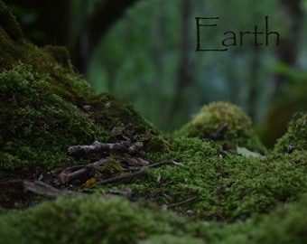 Earth Guided Meditation | Nature Connection | Digital Download