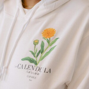 CALÉNDULA