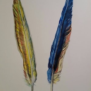 Macaw Feather Front & Back, original watercolor painting of feathers
