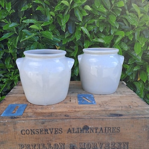 Peut inclure: Deux pots en céramique blanc cassé avec des poignées reposent sur une caisse en bois. Les pots ont une forme arrondie et un bord légèrement évasé. La caisse porte l'inscription "CONSERVES ALIMENTAIRES PETILLON & MORVEZEN QUIMPERLE FRANCE".