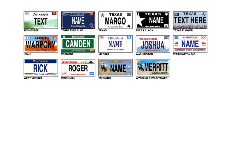 Mini State License Plates image 9