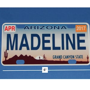 Mini State License Plates image 6