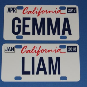 Mini State License Plates image 4