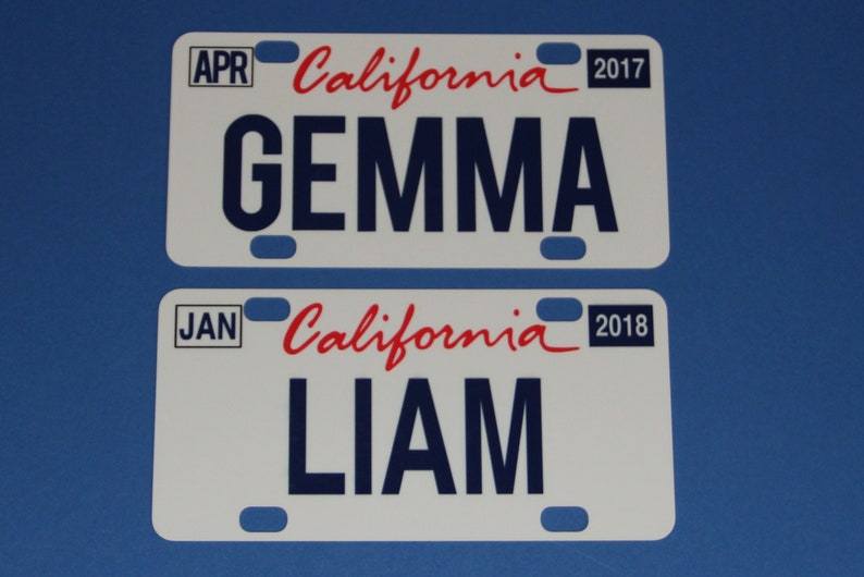 Mini State License Plates 画像 4