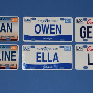 Mini State License Plates 画像 5