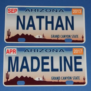 Mini State License Plates image 2