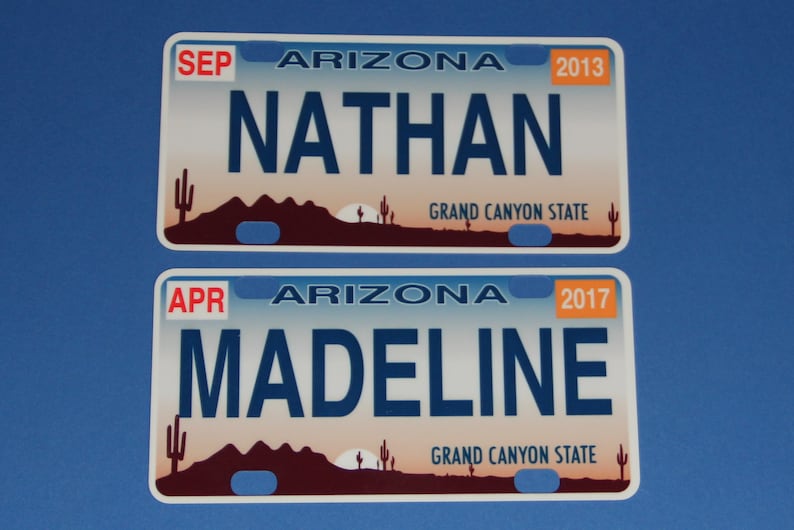 Mini State License Plates image 2