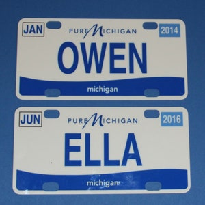 Mini State License Plates image 3