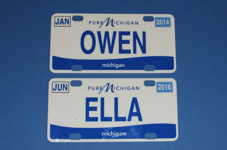 Mini State License Plates image 3