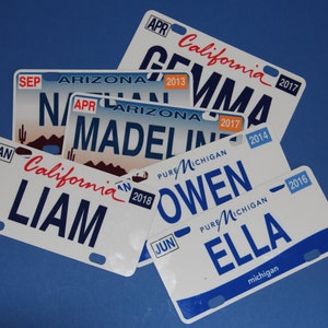 Mini State License Plates image 1