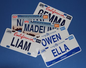 Mini State License Plates