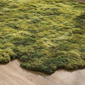 Irregular Moss Rug, Organic Shape Statement Carpet, Nature Inspired Green Area Rug for Living Room Decor image 3