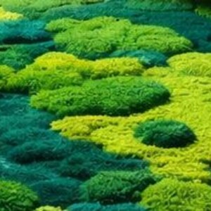 May include: A vibrant, textured rug with a moss-like appearance. The rug features a mix of green hues, from deep emerald to bright lime, creating a natural, organic look. The design resembles a landscape of varying heights and textures.