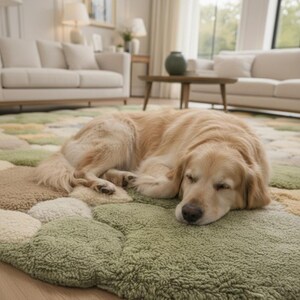May include: A golden retriever dog resting on a green, beige, and white patterned rug in a living room. The rug has a textured, cloud-like design. The room features neutral-toned furniture and decor.