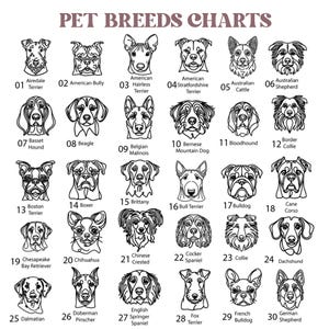 May include: A black and white chart titled PET BREEDS CHARTS featuring thirty numbered line art illustrations of dog heads. Each illustration is labeled with the specific breed name, including Airedale Terrier, Beagle, Boxer, and German Shepherd.
