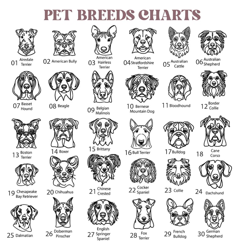 May include: A black and white chart titled PET BREEDS CHARTS featuring thirty numbered line art illustrations of dog heads. Each illustration is labeled with the specific breed name, including Airedale Terrier, Beagle, Boxer, and German Shepherd.