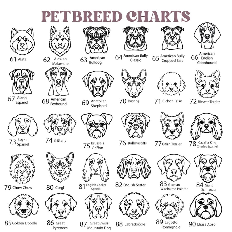 May include: A black and white pet breed chart featuring thirty line art illustrations of dog faces. Each illustration is numbered from 61 to 90 and labeled with the corresponding breed name, including Akita, Bulldog, Spaniel, and others.