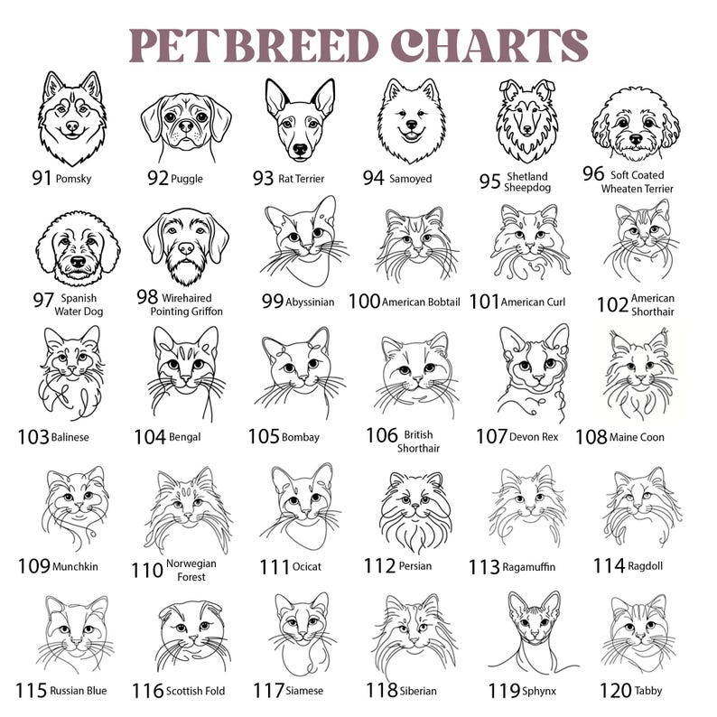 May include: A black and white pet breed chart featuring line art illustrations of various dog and cat faces. Each animal is numbered from 91 to 120 with its corresponding breed name printed below, including Pomsky, Puggle, and Maine Coon.