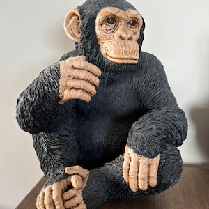 May include: A detailed sculpture of a chimpanzee in a seated position. The primate has black fur, tan hands and face, and is resting its hands on its legs. The sculpture is on a wooden surface.