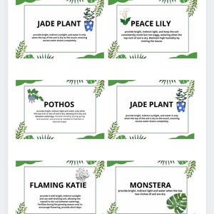 May include: A botanical guide featuring six plant care instructions. Each card has a white background with green accents and a plant illustration. The text includes care tips for Jade Plant, Peace Lily, Pothos, Flaming Katie, and Monstera.
