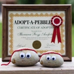 May include: Two decorated pebbles with googly eyes and red yarn, sitting in front of a framed certificate that reads "Adopt-a-Pebble". The certificate has a red ribbon and a gold seal.