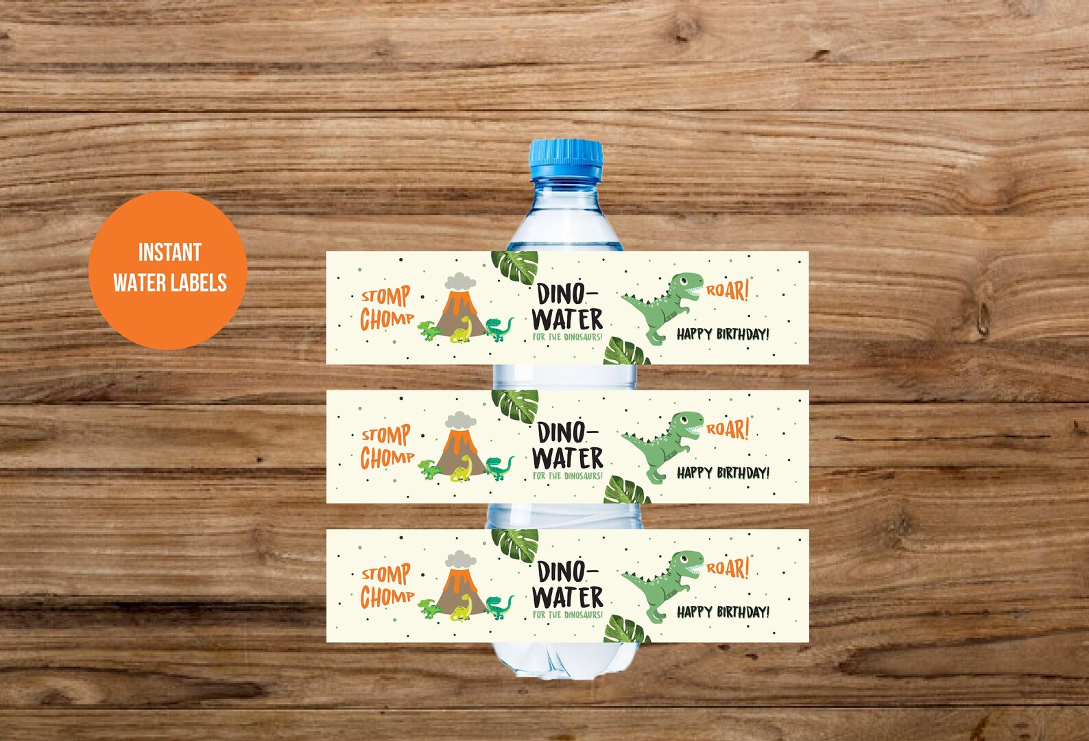 dinosaur water bottle labels printable dinosaur water
