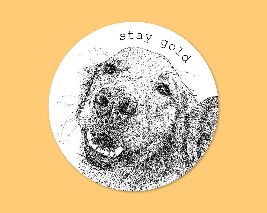 GOLDEN RETRIEVER 