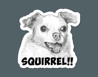 Crazy CHIHUAHUA "SQUIRREL!" sticker: original illustration, waterproof vinyl decal