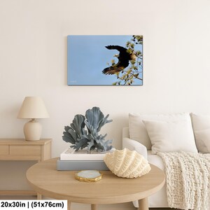 May include: A framed canvas print showing a bald eagle in flight against a blue sky. The eagle, with its dark brown and white plumage, is perched on a tree branch. The print measures 51x76cm.