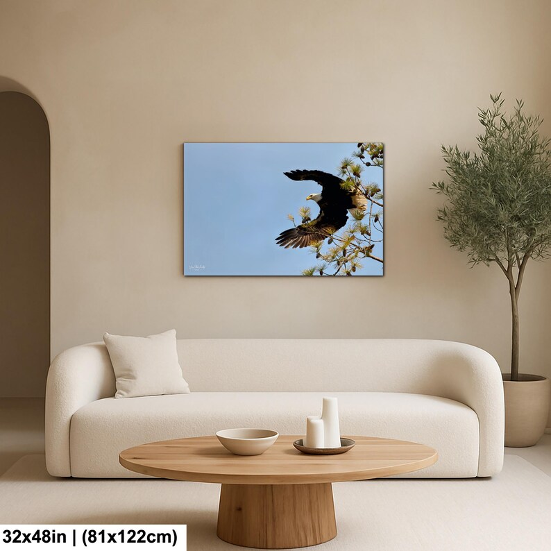 May include: A canvas print depicting a bald eagle in flight against a blue sky. The eagle, with dark brown wings and a white head, is captured mid-flight near a tree. The print is 81x122cm.