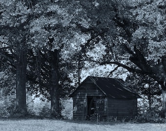Memory in Blue | Rural Americana Wall Art