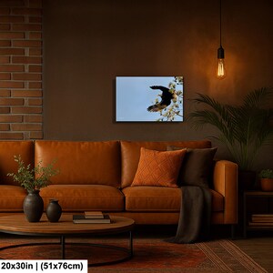May include: A framed canvas print showing a bird in flight against a light blue sky, with white blossoms. The artwork is 20x30 inches (51x76cm). The print is displayed above a brown leather sofa.