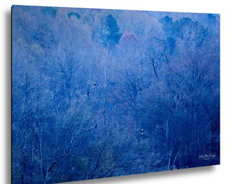 Bald Eagles Winter Landscape Print | Blue Hour, Haw River NC