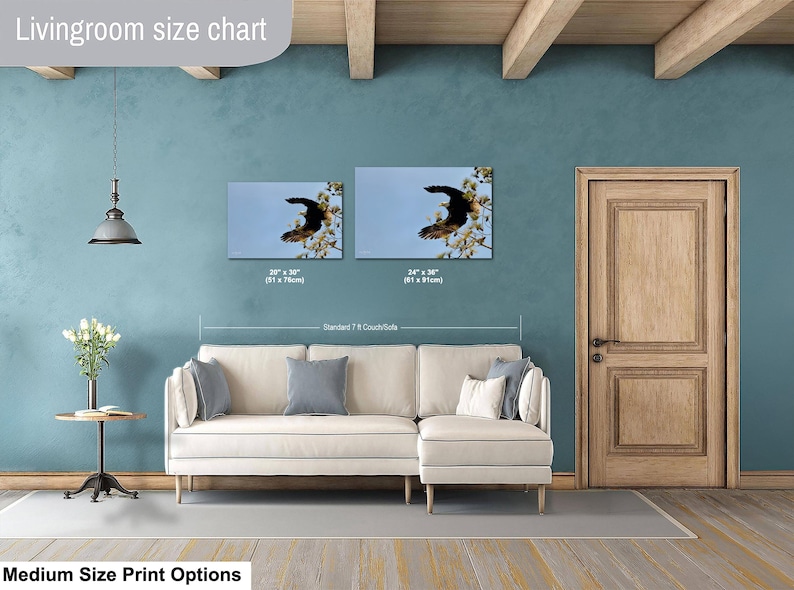 May include: Two framed canvas prints of a soaring eagle against a blue sky, displayed above a cream-coloured sectional sofa. The prints are 51 x 76cm and 61 x 91cm. The room has a teal wall and a wooden door.