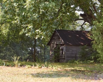 Oak Guardians | Rural Americana Wall Art