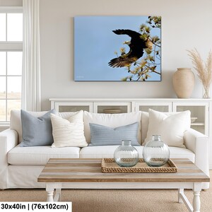 May include: A canvas print depicting a bald eagle in flight against a light blue sky. The eagle, with its white head and dark brown wings, is perched on a tree branch. The artwork is displayed above a white sofa with blue cushions.