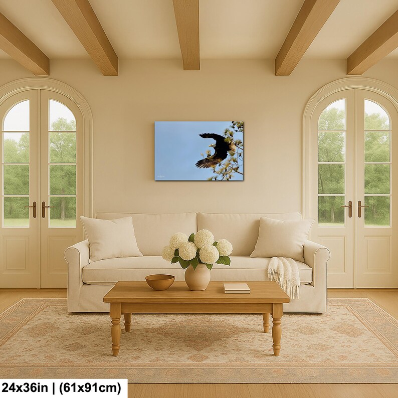 May include: A framed canvas print showing a bird in flight against a blue sky. The bird is brown and black, with its wings spread wide. The print is 61x91cm.