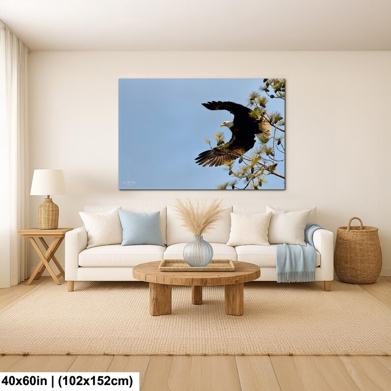 May include: A canvas print depicting a bald eagle soaring against a blue sky. The eagle, with its white head and dark wings, is near a pine tree branch. The artwork measures 102x152cm and is displayed above a white sofa in a living room setting.