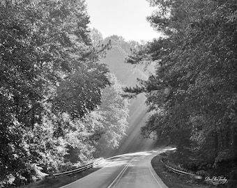 Sunbeams | Black and White Landscape Wall Art