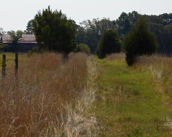 Yesteryear's Farm Path | Rustic Americana Wall Art