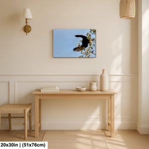 May include: A canvas print depicting an eagle in flight against a blue sky. The eagle, with its wings spread, is near a tree branch with green foliage. The print measures 51x76cm.