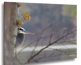 Misty Morning Heron at Dawn | Jordan Lake Wildlife Print | Quiet Nature Photography